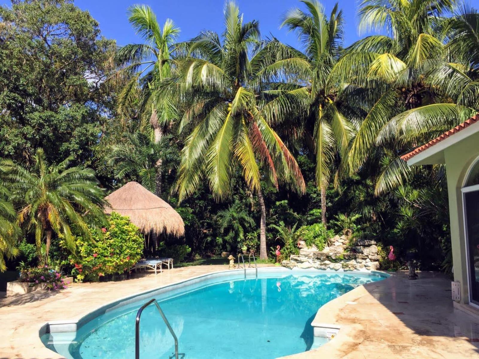 Casa Beard, Spacious Guest House With High Speed Wifi & Pool. Playa del Carmen Exterior photo